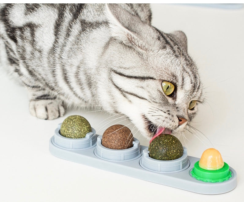 Catnip Treats Assortment-2