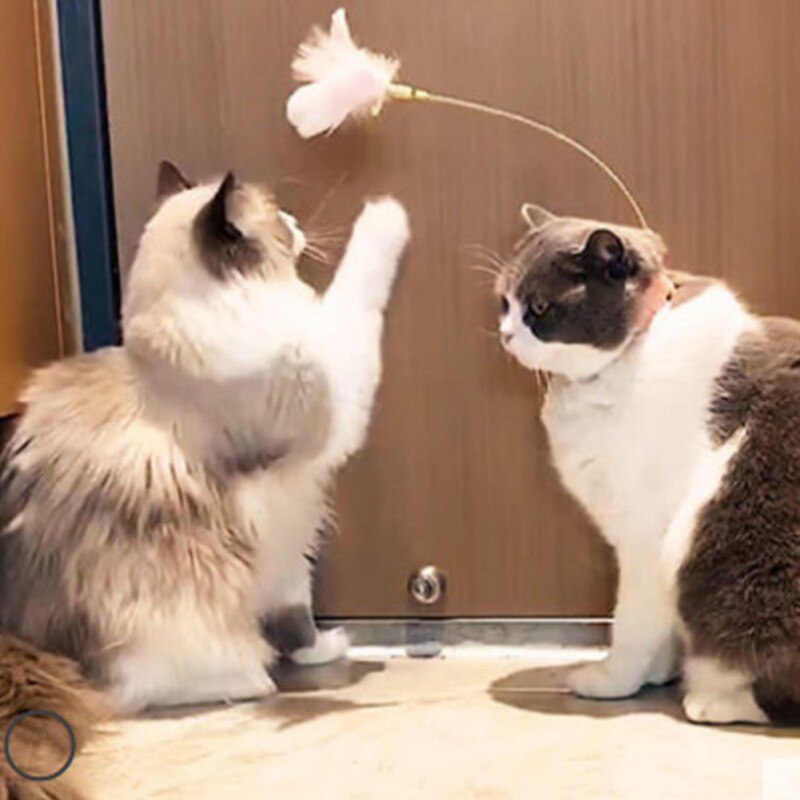 Funny Cat Collar Toy Feather Teaser Stick Interesting Automatic Cat Toy Foot Interactive Cats Teaser Feather Kitten Toys-4