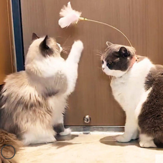 Funny Cat Collar Toy Feather Teaser Stick Interesting Automatic Cat Toy Foot Interactive Cats Teaser Feather Kitten Toys-4